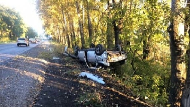 В Кузбассе водитель без прав врезался в дерево и погиб