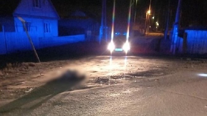 В Иркутской области автомобиль сбил мать с сыном – женщина погибла