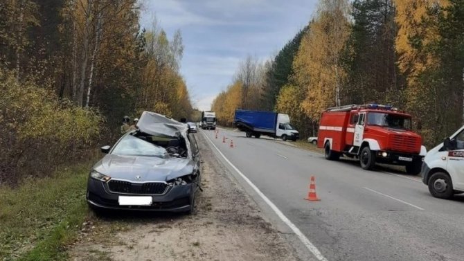 Водитель иномарки погиб в ДТП в Касимовском районе Рязанской области