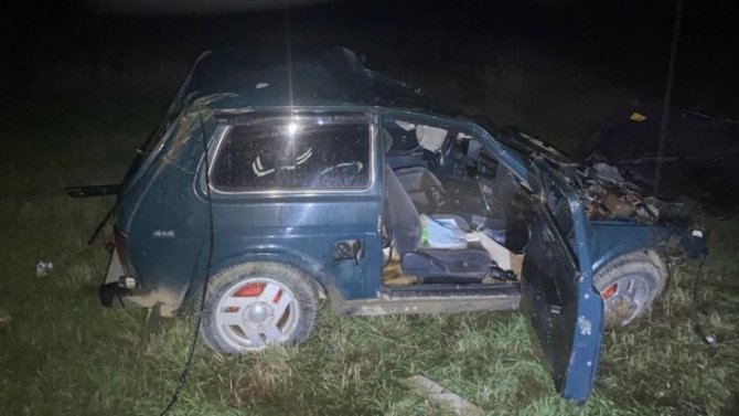 В Ставрополье водитель «Нивы» погиб из-за вышедшей на дорогу коровы