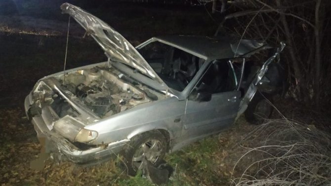 В Воронежской области ВАЗ с компанией молодежи въехал в дорожный знак, а затем в дерево. Погибли трое
