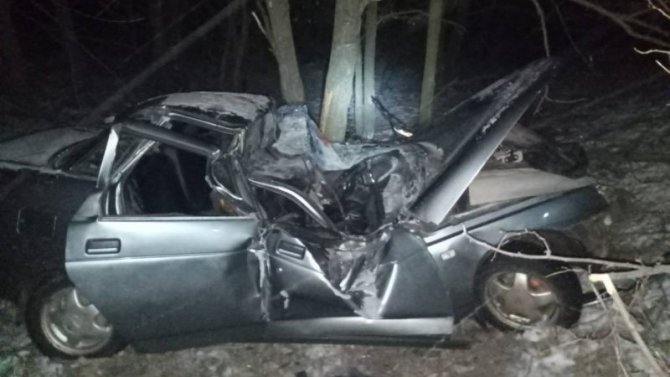 В Воронежской области ВАЗ врезался в дерево, погиб 18-летний пассажир, 17-летний водитель пострадал