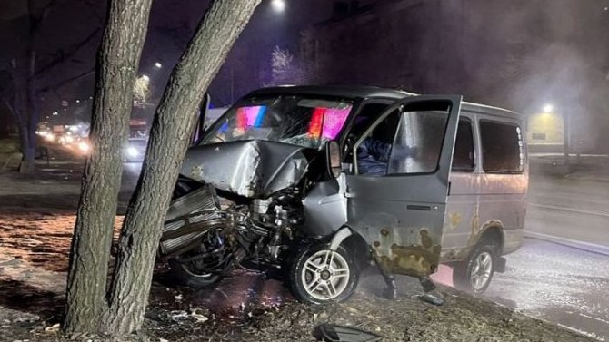 В Воронеже «Соболь» врезался в дерево, пострадали водитель и пассажирка