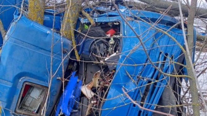 В Воронежской области КамАЗ съехал в кювет и врезался в дерево, водитель погиб
