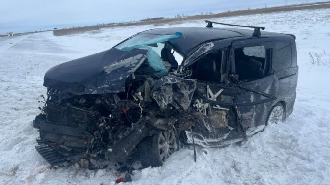 В ДТП на трассе Челябинск — Новосибирск один человек погиб, 8 пострадали
