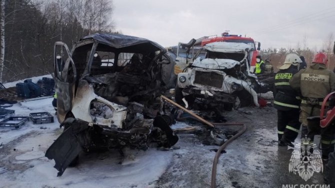Автомобиль загорелся после ДТП в Нижегородской области, водитель погиб
