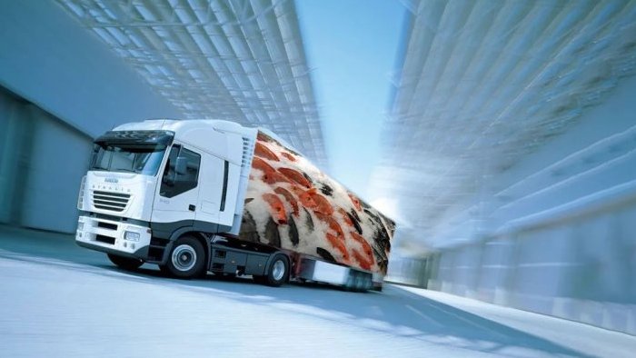 Как выбрать подрядчика: на что смотреть при найме перевозок машинами-рефрижераторами, чтобы не получить «термос» вместо холодильника